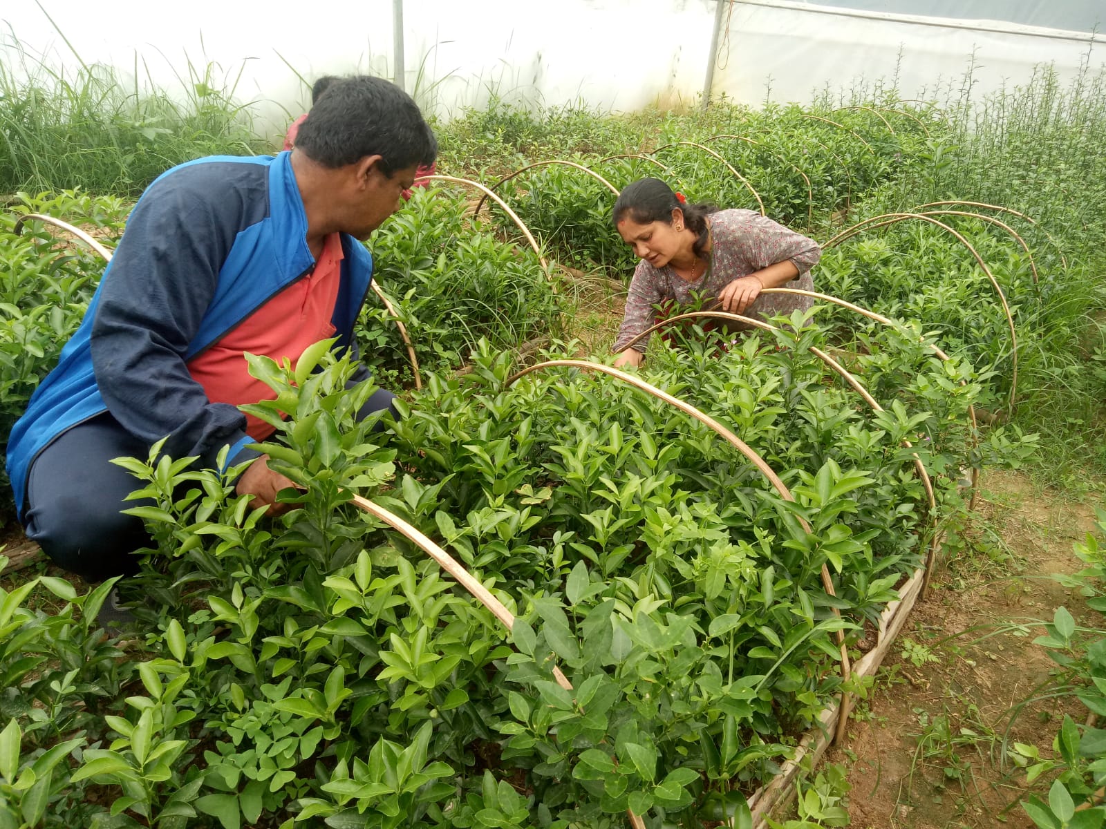 IMG-20230626-WA0002
