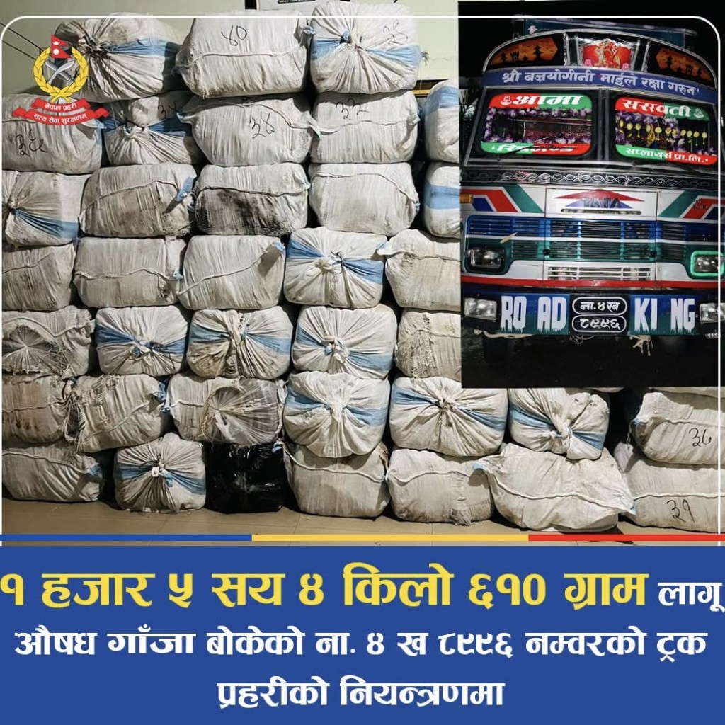 ट्रकको फल्स बटमभित्र लुकाइएको १.५ टनभन्दा बढी गाँजा बरामद ट्रकको फल्स बटमभित्र लुकाइएको १.५ टनभन्दा बढी गाँजा बरामद
